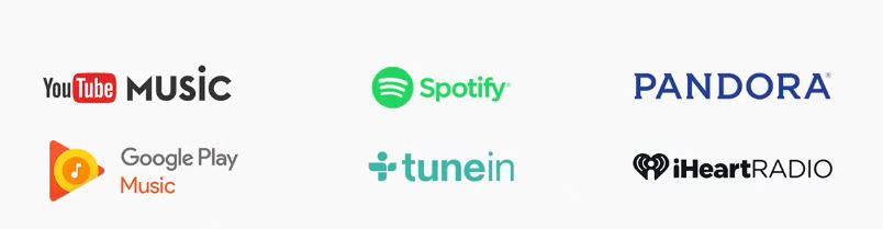 google-home-music-subscription